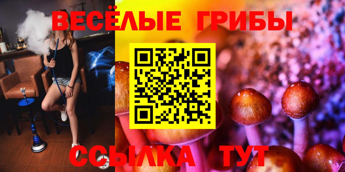 Белая Калитва  Псилоцибиновые грибы прущие грибы  Псилоцибиновые грибы мицелий  Вход с VPN 