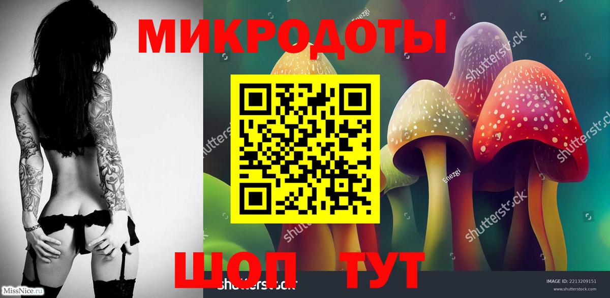 Псилоцибиновые грибы Cubensis Белая Калитва